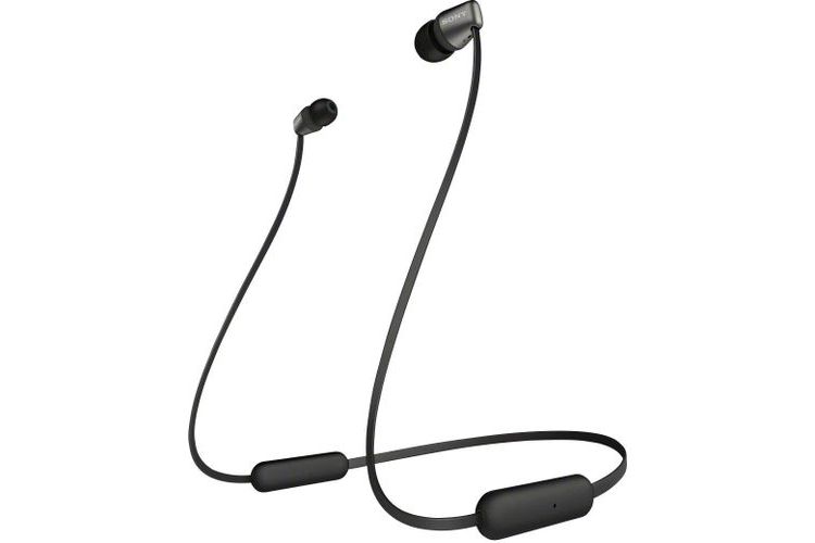 Sony WI-C310