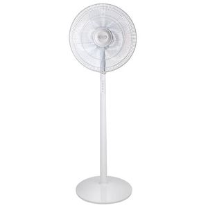 Argo Standy Evo