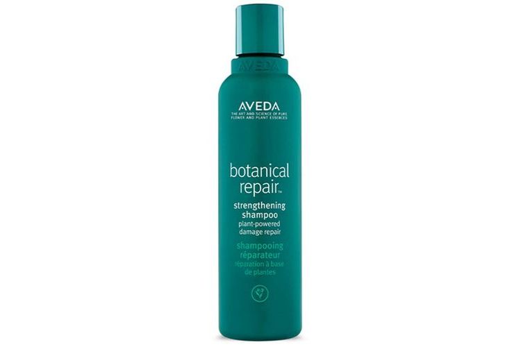 Aveda Botanical Repair Strengthening Shampoo