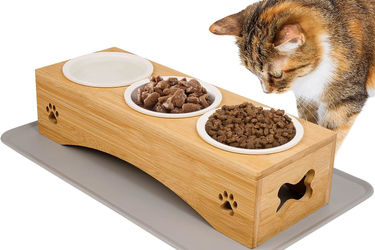 Come scegliere le crocchette per gatti