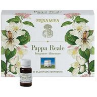 Erbamea Pappa Reale