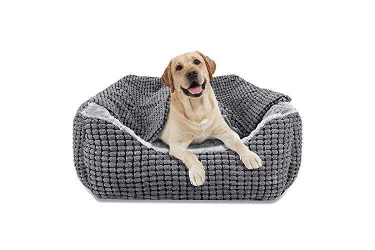 Joejoy Lettino per cani