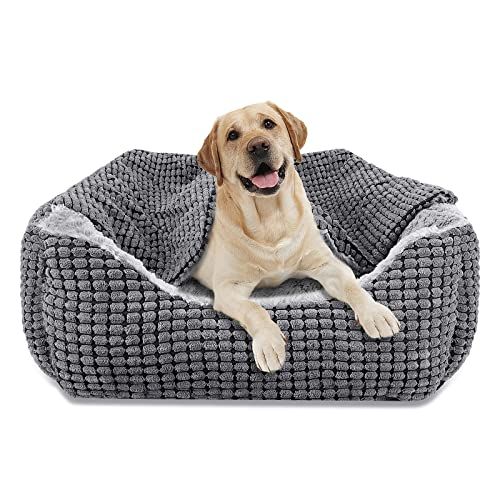 Joejoy Lettino per cani