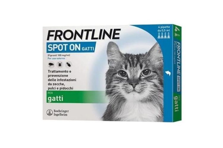 Frontline Spot on Gatti
