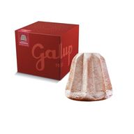 Galup Pandoro tradizionale