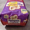 Pampers Progressi Mutandino