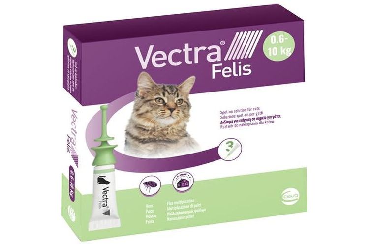 Vectra Felis