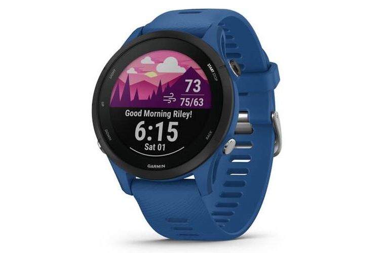Garmin Forerunner 255