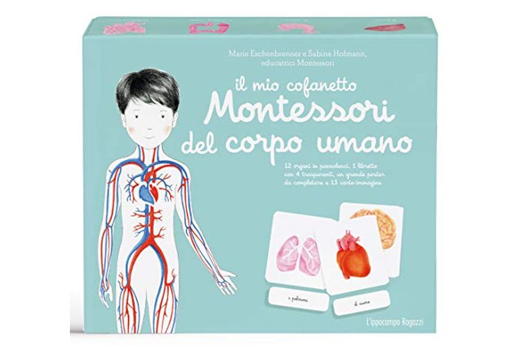 L'Ippocampo Ragazzi Il Mio Cofanetto Montessori del Corpo Umano