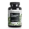 Natural Elements Bio Ashwagandha KSM-66