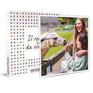 Smartbox Passeggiata con gli alpaca e gita alla fattoria per tutta la famiglia