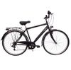 Cicli Tessari Bicicletta uomo