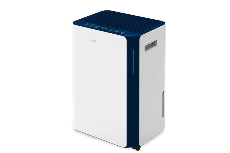 Argo Dry Pury Evo WF 21