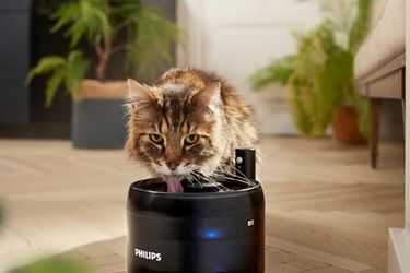 Philips Pet Series, la soluzione per chi ha animali domestici