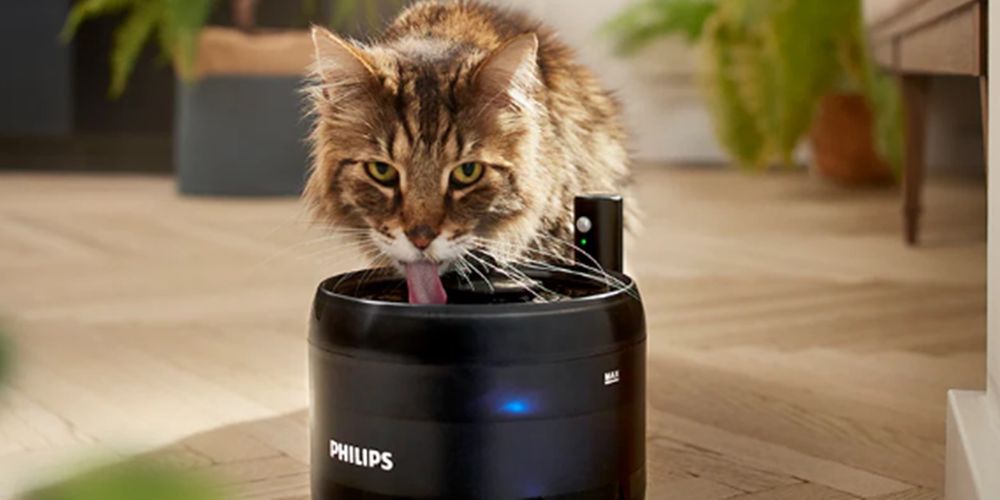 Philips Pet Series, la soluzione per chi ha animali domestici