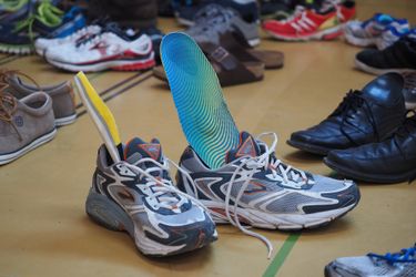 Plantari: guida all'acquisto