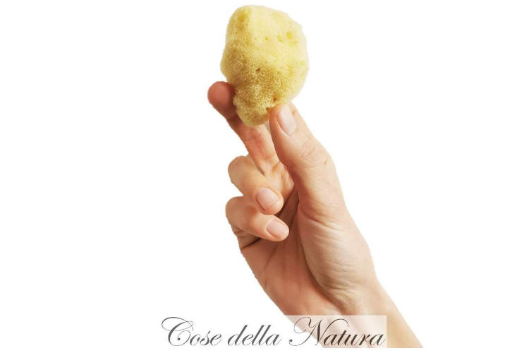 Cose della Natura Spongella XS
