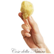 Cose della Natura Spongella XS