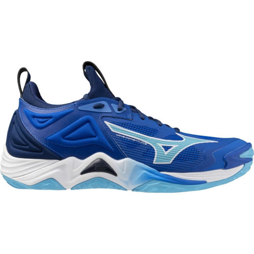 Mizuno Wave Momentum 3