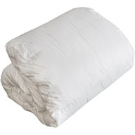 Bassetti Piumone Plus