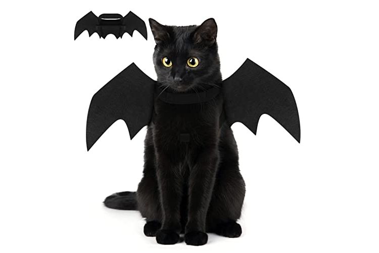 Crewell Costume da Pipistrello Gatto