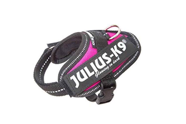 Julius K9 Powerharness XXXS Baby