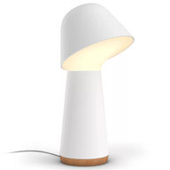 Philips Hue Twilight