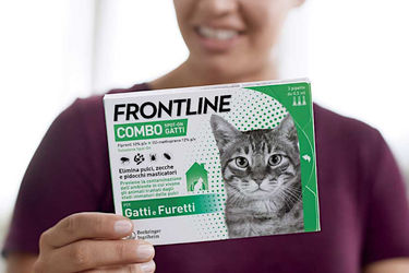 Frontline Combo: una soluzione completa contro pulci e zecche dei gatti
