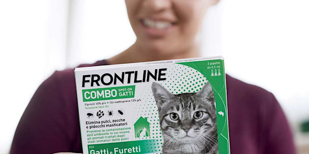 Frontline Combo: una soluzione completa contro pulci e zecche dei gatti