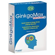 ESI Ginkgomax Memory
