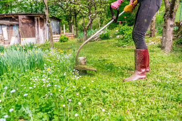 Come scegliere il decespugliatore