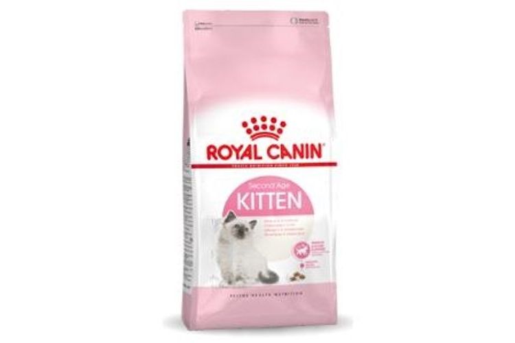 Royal Canin Kitten Gatto