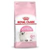 Royal Canin Kitten Gatto