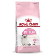 Royal Canin Kitten Gatto