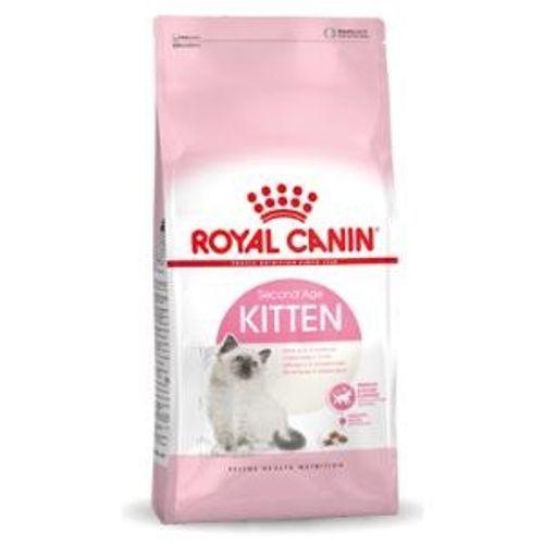 Royal Canin Kitten Gatto