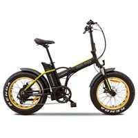 Argento e-Mobility Mini Max AR-BI-220009