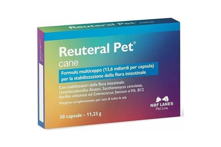 NBF Lanes Reuteral Pet Cane
