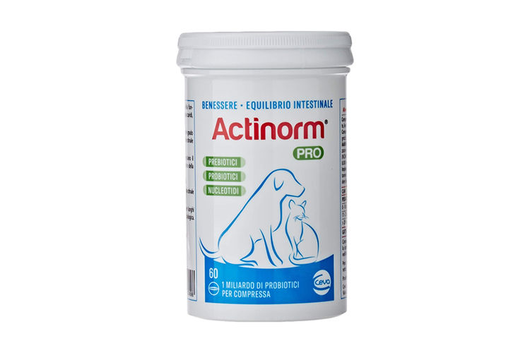Ceva Actinorm Pro