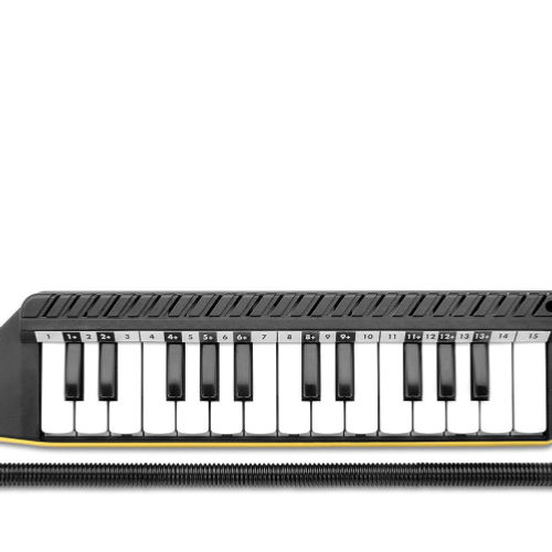 Bontempi Clavietta 25 Tasti 33-4262