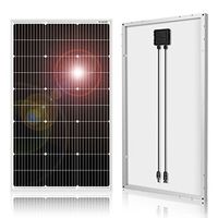 DOKIO-100W-MONO