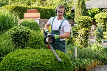 Come scegliere il tagliasiepi: guida 2025