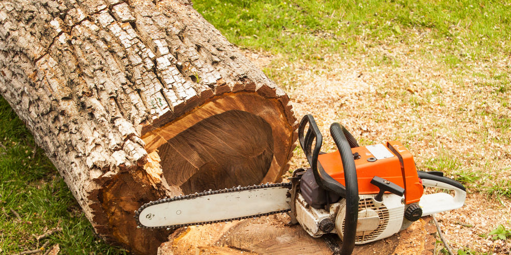Come scegliere la motosega: guida 2025