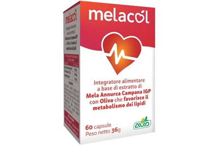 AVD Reform Melacol