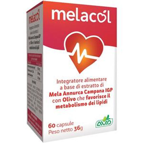 AVD Reform Melacol
