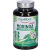 Equilibra Moringa Protein Equilibrio del Peso