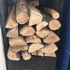 Wood Wood Legna da ardere di ulivo