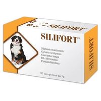 Aurora Biofarma Silifort
