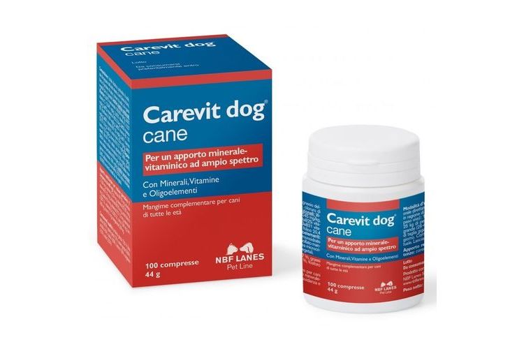 NBF Lanes Carevit Dog