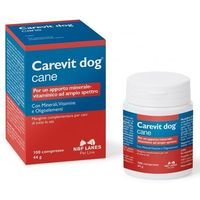 NBF Lanes Carevit Dog