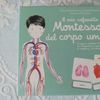 L’Ippocampo Ragazzi Il Mio Cofanetto Montessori del Corpo Umano